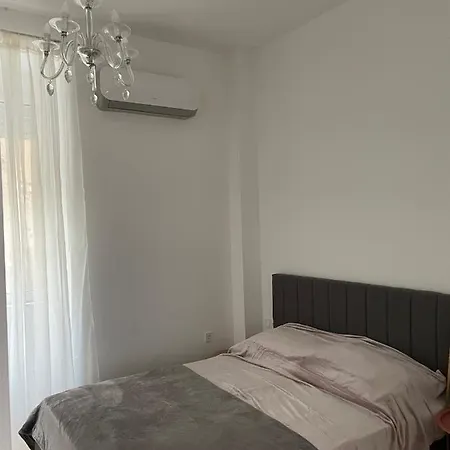 Olive Renovated 2022 *