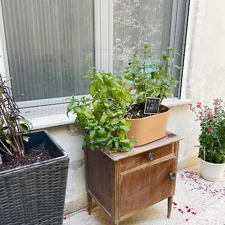 Olive Renovated 2022